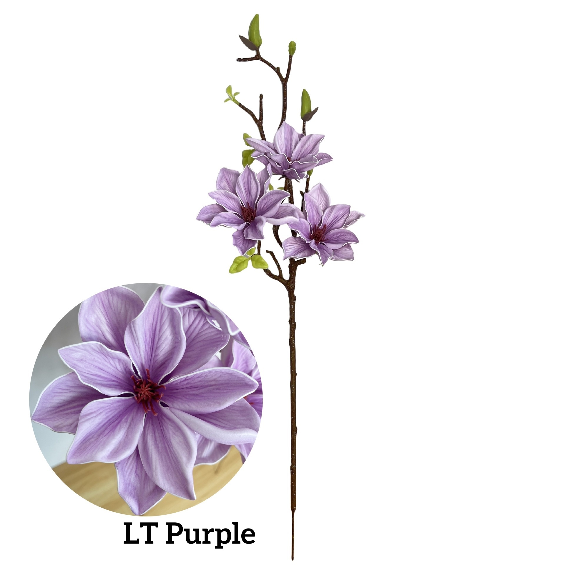 LT violet