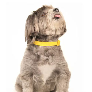 Collier et laisse pour chien en PVC de luxe sur mesure, logo personnalisé, multicolore, vert, bleu, revêtement en silicone imperméable - Product Image 5