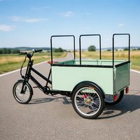 Bicicleta de Carga Pesada con Caja Trasera, Bicicleta de Reparto, Triciclo, Carro Tuk Tuk, Remolque, Furgoneta, Camión Eléctrico de Comida, Kiosco Móvil