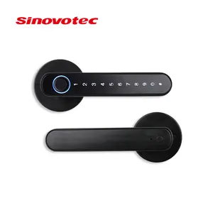 Home Smart Security Tuya Intelligent Apartment Home Office Fingerprint Electric Door Handle Lock