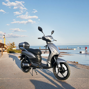 Moped/Scooter électrique pas cher 48V 1000W L1e EEC COC avec batterie au lithium personnalisée pour adultes 40-60 km/h - Product Image 5