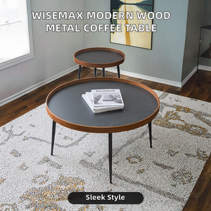 Mesa de Centro Moderna de Lujo Ligero, de Madera Maciza y Hierro, Redonda de 2 Niveles, para Sala de Estar, Combinación de Almacenamiento, Muebles para el Hogar y Villa - Product Image 5