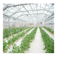HUIFA Serre commerciale Fabricant Serre Fleurs Plantation Solution Serre en verre Prix pour l'agriculture