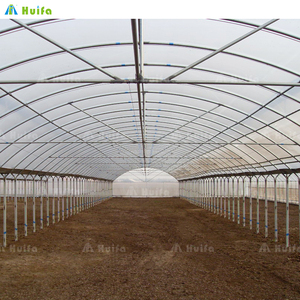 Cao Đường Hầm <span class=keywords><strong>Poly</strong></span> Mái Nhựa Nhà Kính 150 200 Micron Berry Trang Trại Trồng Màu Xanh Lá Cây Nhà Cà Chua Nhà Kính Cho Bán - Product Image 2