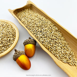 Fabriek Groothandel Alpiste Vogelzaad Voor Canari Geel-Rij Groenvink Bulk Kanarie Zaadprijs - Product Image 2