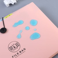 Carpeta de Archivo Expandible A4 Morandi Colo RLayer, Impresión UV, Gran Capacidad, Páginas Transparentes Insertables, para Estudiantes de Secundaria