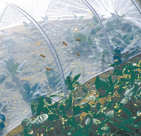 Anti-insectennet Plantenbeschermingsnetten Boom- en groentengaas Beschermingsnetten Fruitkas Rijnetten voor de tuin