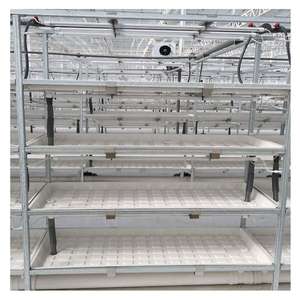 Neues Design Indoor Farming Gewächshaus Bank Ebbe und Flut Mehr schicht ige Micro <span class=keywords><strong>Greens</strong></span> Vertical Grow Rack - Product Image 2