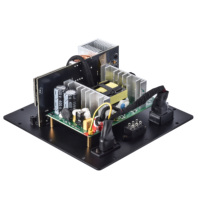 Amplificateur de plaque numérique en métal pour subwoofer 300W |   Amplificateur domestique avec module d'amplification de basses de classe D à faible bruit et panneau arrière