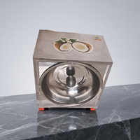 Machine électrique en acier inoxydable 300W pour le traitement de la noix de coco, râpe, hachoir à viande, broyeur, gratteur, robot culinaire