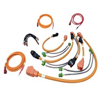 Câblage haute tension pour véhicules électriques, faisceau de câbles, pack de batteries, câble d'intégration de charge, assemblage OEM ODM personnalisé