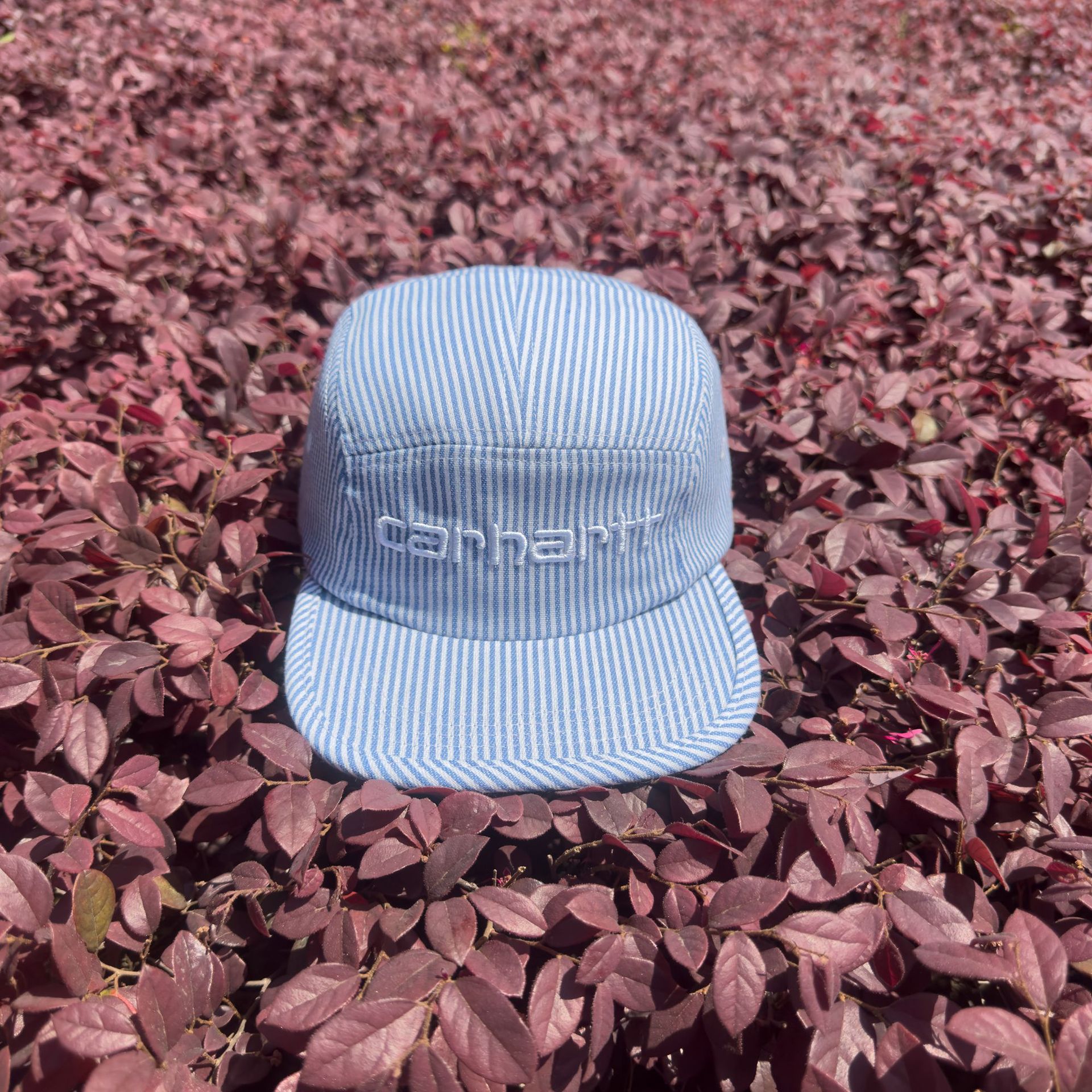 Carhartt-blanco bordado azul