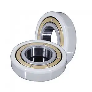 High Quality 6319 M/C3VL0241 Machined Brass Cage Insocoat Deep Groove Ball Bearings