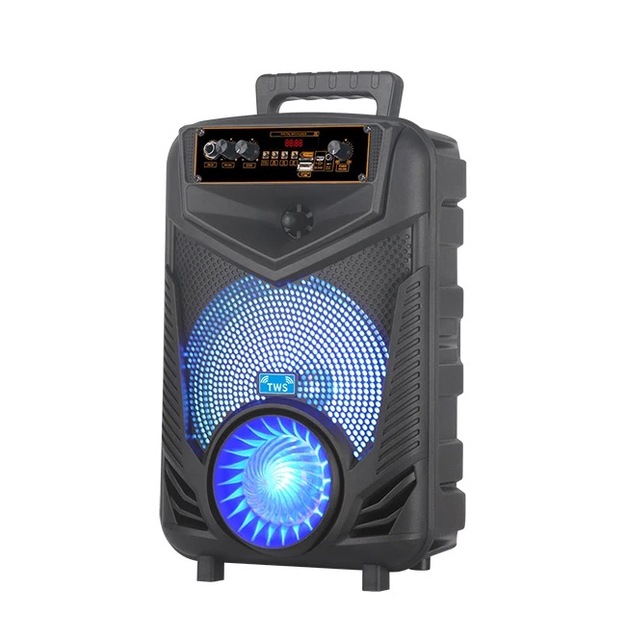 Hot Sale High Quality Portable RGB LED Display Woofer Outdoor Karaoke Speaker 8 Inch P44 P55 P66 Trolley Party Computer