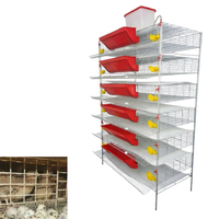 Cage d'élevage automatique de type H pour cailles avec mangeoire pour l'élevage commercial de volailles pondeuses