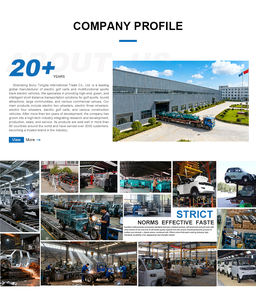 จักรยานไฟฟ้า 3 ล้อรุ่นใหม่จากโรงงานผลิต จักรยานไฟฟ้ารุ่นเก่าความเร็วสูงพร้อมแบตเตอรี่ขนาดใหญ่ แบบเปิด - Product Image 3