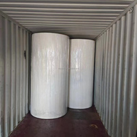 Papier toilette en rouleau mère jumbo, matière première en pâte de bois vierge forte, 1 à 4 plis, blanc, OEM