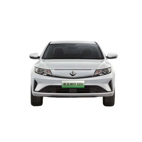 最も安い中国のメープルリーフ60年代電気自動車新エネルギー車