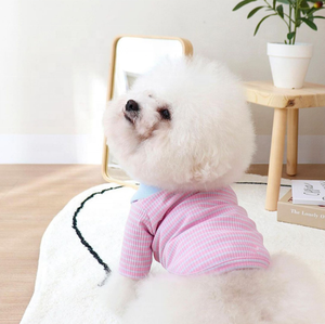 Chemise rayée pastel pour chien avec col Peter Pan coloré, vêtements pour animaux de compagnie mignons à boutons pour Bichon Frisé, <span class=keywords><strong>Shih</strong></span> <span class=keywords><strong>Tzu</strong></span>, petits <span class=keywords><strong>chiens</strong></span> - Product Image 5