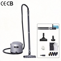 Équipement de nettoyage à la vapeur puissant sans produits chimiques CE Professional, kits de brosses multiples, accessoire lave-vitres, accessoire serpillière, nettoyeur de tapis
