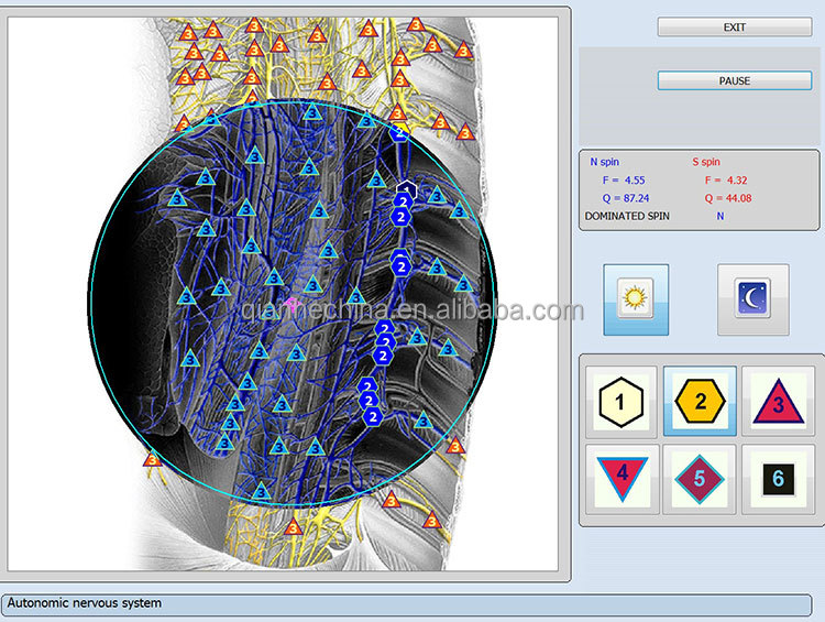 Hot selling 12d aura nls health analyzer with factory price