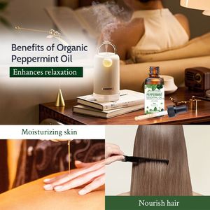 Huile Essentielle de Menthe Poivrée Transfrontalière Entièrement Anglaise pour Hydratation Faciale, Soins Corporels, Massage, <span class=keywords><strong>Tuina</strong></span> et Soins Capillaires - Product Image 4