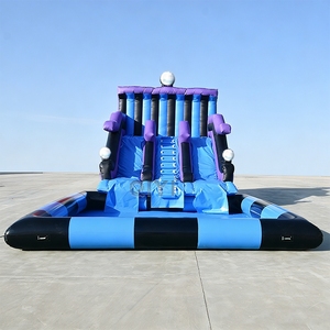 Toboggan aquatique gonflable géant de haute qualité pour adultes, toboggan aquatique gonflable pour l'extérieur - Product Image 1