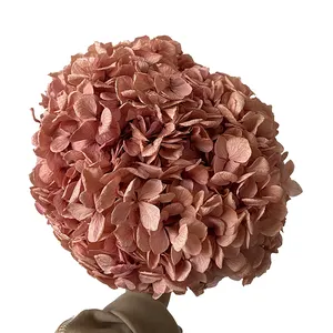 Natural Real Hydrangea fresh preserved flower wedding decorative white pink hydrangeas big flower Hydrangea
