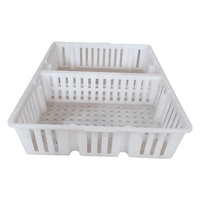 Cages de transport robustes pour poulets de chair, boîtes de retournement pour volailles, cages de transport en plastique épaissi pour canetons, oisillons et poussins vivants