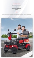 Mini Quad Électrique Pliable avec Levier d'Arrêt d'Urgence, Scooter de Mobilité, Moteur 500W, Vitesse 11-20 km/h, Charge Maximale 150 kg