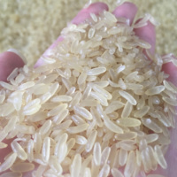 Machine de Production de riz nourrissante et automatique, pour nourrice nourrissante, fabricant, économique