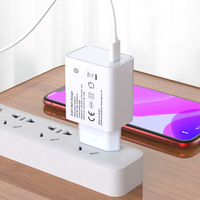 Chargeur mural USB-C 25W PD 3.0 PPS Shenzhen Lvxiangyuan certifié CE RoHS UE avec protection OTP et respectueux de l'environnement