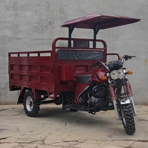 Motocyclette à trois roues avec moteur à essence, tricycle refroidi par eau 250cc - Product Image 3