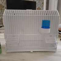 Cage d'exposition professionnelle pour oiseaux pour les spectacles et la photographie - Cage d'exposition portable pour canaris, pinsons et autres petits oiseaux