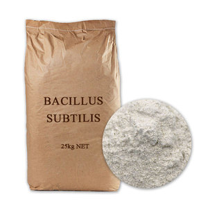 Leveranciers Voeden Bacillus Subtilis Imp215 3,000,000 Cfu/Ml Landbouw Fiyat <span class=keywords><strong>Natto</strong></span> Feed Grade Poederprijs Bacillus Subtilis - Product Image 1