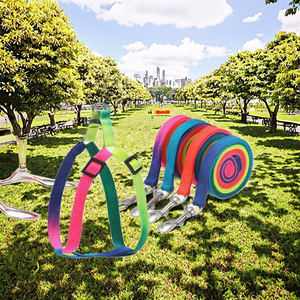 Coleira para Cães Decorada com Fita de Nylon Colorida Ajustável e Ecológica, Atacado de Fábrica - Product Image 3