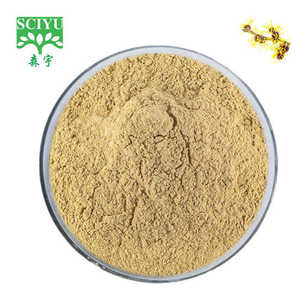 Экстракт гамамелиса (Hamamelis virginiana) в порошке, водорастворимый, <span class=keywords><strong>10</strong></span>:<span class=keywords><strong>1</strong></span>, 20:<span class=keywords><strong>1</strong></span>, для пищевых добавок - Product Image 1