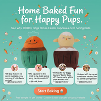 Jouets en peluche pour chiens en forme de cupcakes de Pâques, lot de 2, poussins couineurs et carottes, jouets à mâcher durables pour chiots, jouets interactifs pour animaux de compagnie, cadeau de printemps