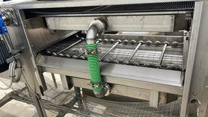 Bon prix Strauss 1 ligne pour les asperges en Allemagne utilisé tri des légumes classement des fruits ligne de traitement automatique intelligent des fruits - Product Image 3