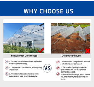 Prefab nấm đa-span nhà kính màu xanh lá cây nhà Kit khung kim loại cấu trúc polycarbonate nhà kính để bán - Product Image 3