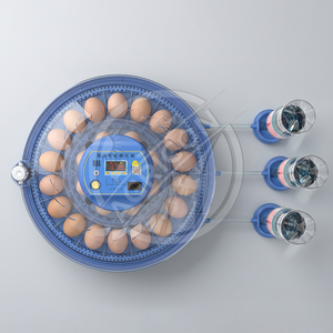 Mini Home <strong>Egg</strong> Incubator with Smart Temperature Control and Automatic <strong>Egg</strong> Turning for Poultry Hatching - Product Image 6