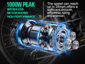 NLX B2 Nuovo Modello Economico Bicicletta Elettrica 48V con Pneumatici Fat per Adulti, 1000w, per Città e Fuoristrada, Versione UE e Brasile - Product Image 5
