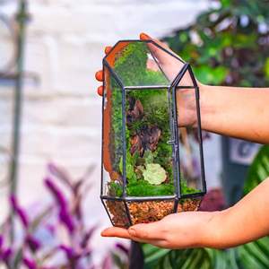 Grand terrarium en verre noir, pot de fleurs, jardinière, écologique, unique, style Art déco, décoration pour la maison, le jardin, les mariages, <span class=keywords><strong>cadre</strong></span> géométrique transparent - Product Image 4