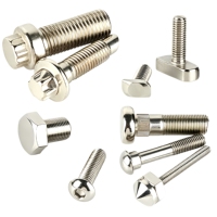 Produsen Sekrup, Baut, dan Tombol Kustom dari Baja Anti Karat dan Titanium Profesional