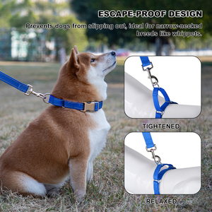 <span class=keywords><strong>Collar</strong></span> de nailon para perro, duradero, cómodo, ajustable, de lujo, a la moda, ecológico, para mascotas - Product Image 2