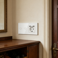 Prise intelligente 15A norme américaine 110V, prix de gros, haute qualité, pour commandes internationales en gros, directement de l'usine