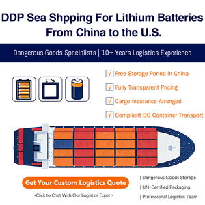 Spedizione Marittima di Batterie al Litio dalla Cina agli USA: Servizio DDP Porta a Porta con Sdoganamento e Tasse Pagate - Product Image 1
