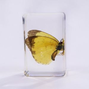Transparent Acrylic Handmade Resin Crafts <b>Crystal</b> Paperweights Resin Craft for School Teaching - Product Image 5