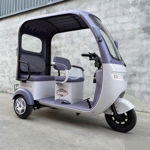 Leisure Electric Tricycle 3 <b>Wheel</b>, Dual Purpose Passenger Cargo Scooter for Children School Pickup Cross-border Wholesale - Product Image 4