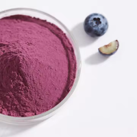 Poudre d'extrait de myrtille naturelle de haute qualité, lyophilisée, ingrédients pour Bubble Tea SAGO, sac de 1 kg